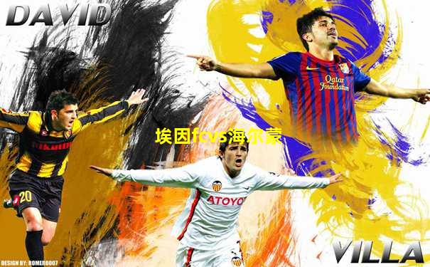 埃因fcvs海尔蒙