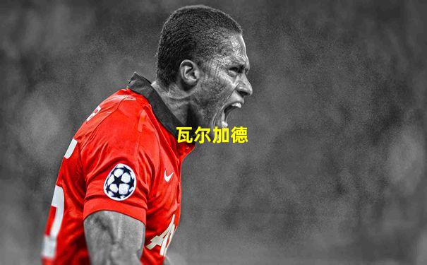 瓦尔加德